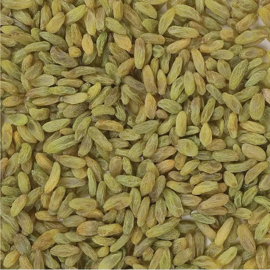 Green Saunderkhani Raisins /Seedless Jambo Size