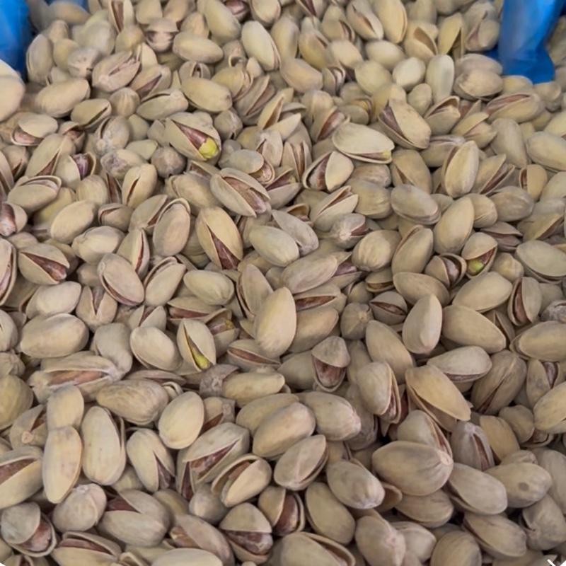 Roasted and Salted Pistachio/Iranian