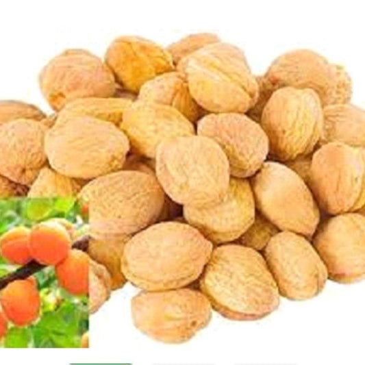 Dried Apricot Khubani