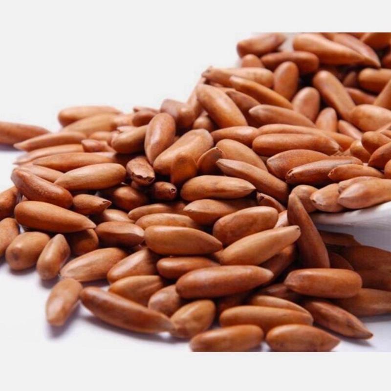 Pine Nuts with shelled /Chelghoza Freshly Roasted